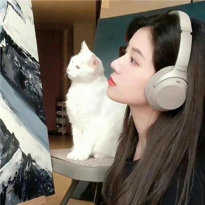 报告王爷，王妃是只猫2